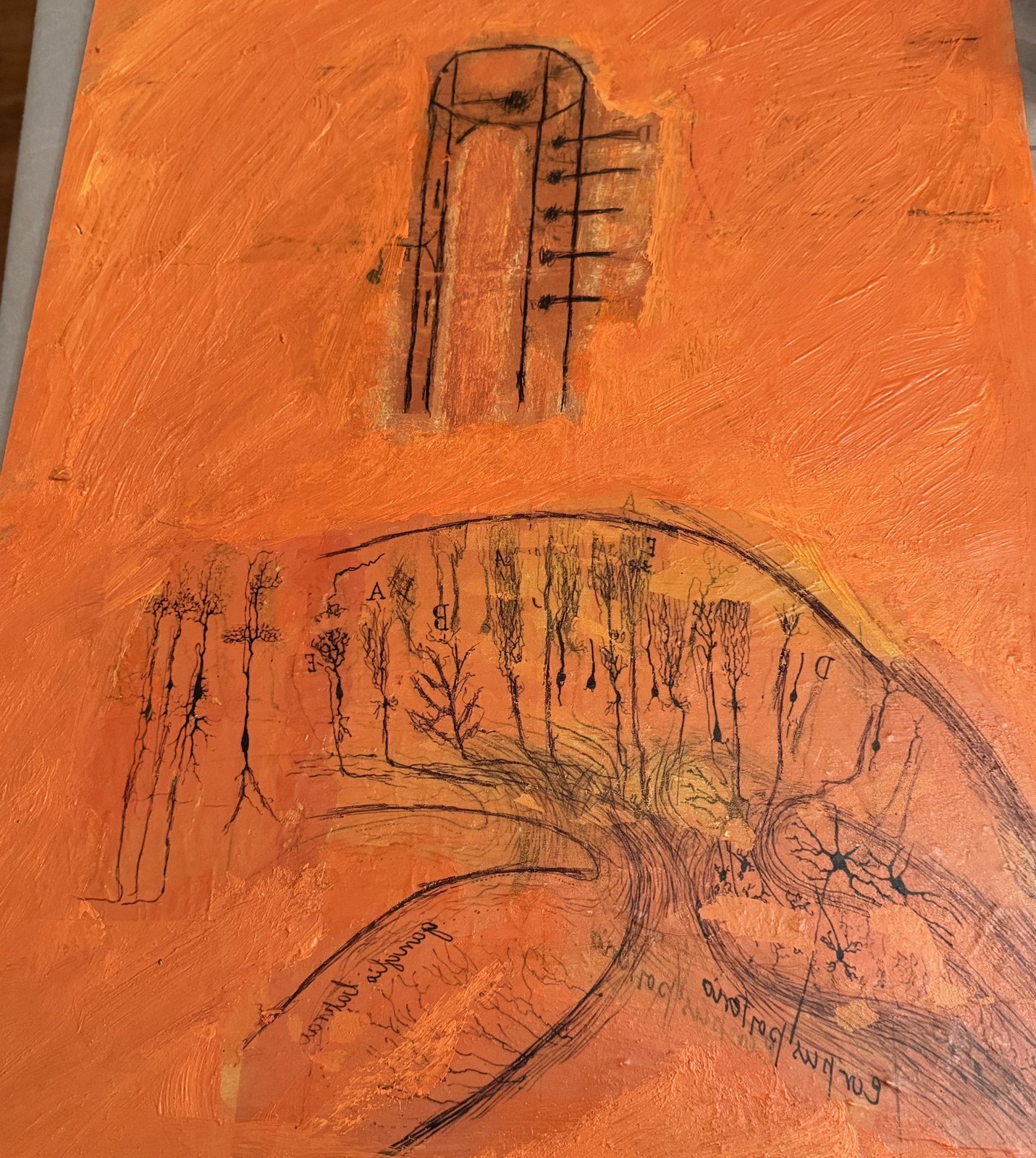 El bosque del pensamiento III — Cartografía cerebral — obra de Santiago Ramón y Cajal