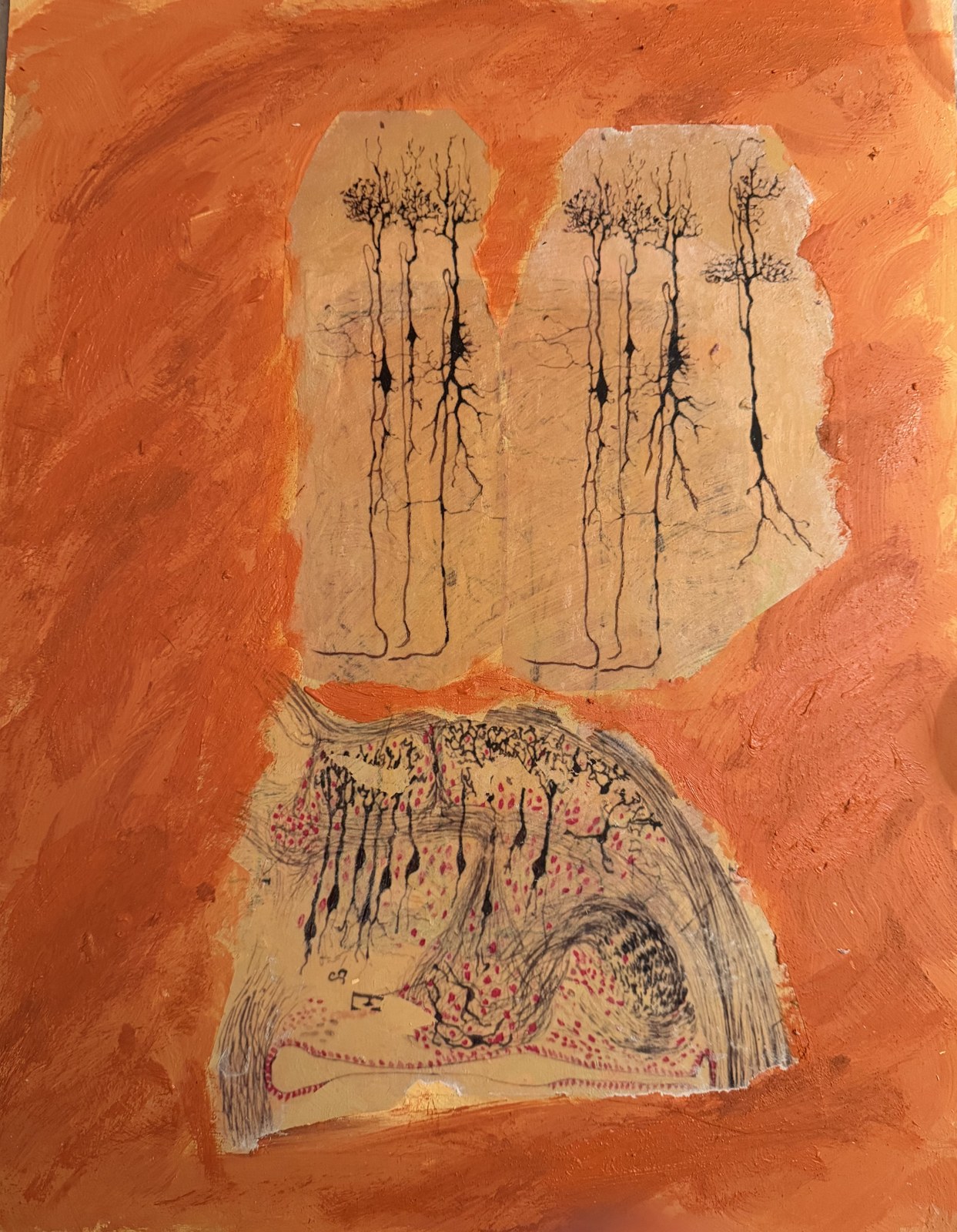 El bosque del pensamiento V — Cajal y el color — obra de Santiago Ramón y Cajal